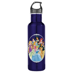 Disney Princess Cinderella Featured Center Stainless Steel Water Bottle