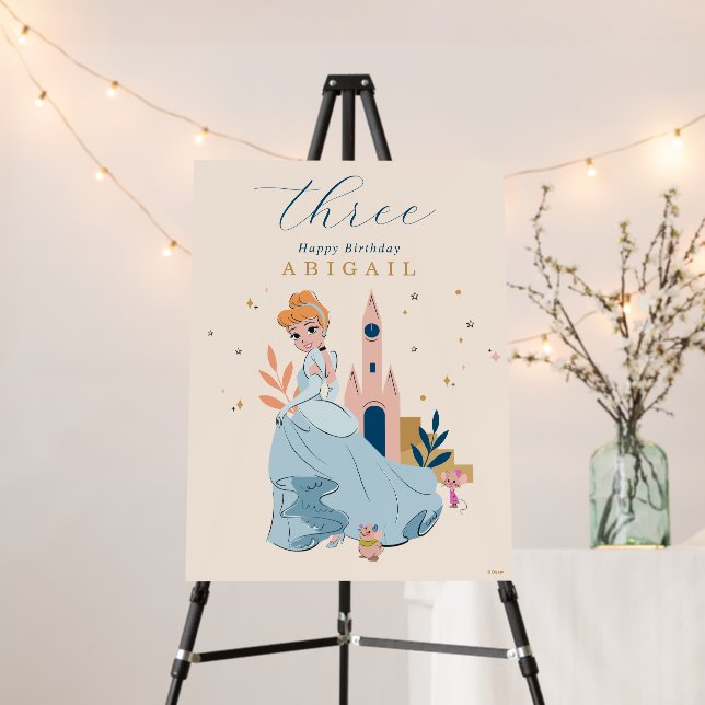 Disney Princess Cinderella Pink Birthday Foam Board (In Situ (Stand))