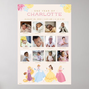 Disney Princess    One Year of - 12 Months Poster