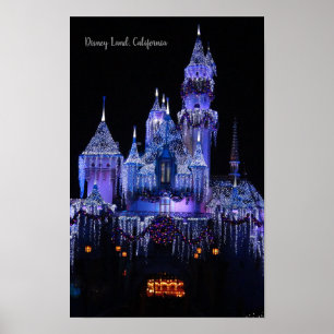 Disney World Castle,California ,Night time Poster