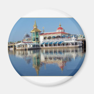 Disneyland Magnet