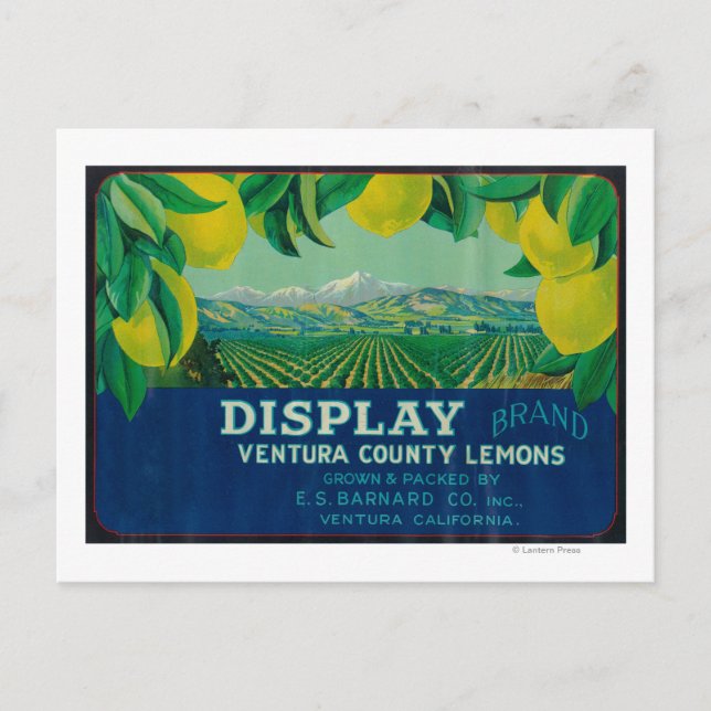 Display Lemon LabelVentura, CA Postcard (Front)