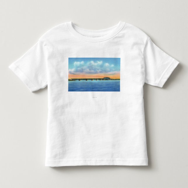 Distant Lake View of the New Bridge Toddler T-shirt (Front)
