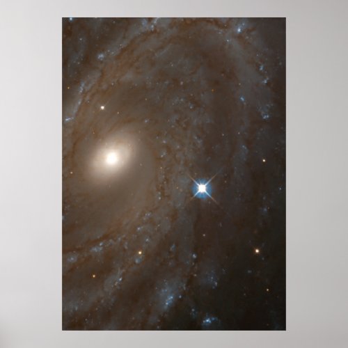 Distant Spiral Galaxy NGC 4603 Home to Variable Poster