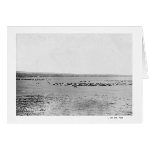 Distant View of Cowboys with Cattle Herds