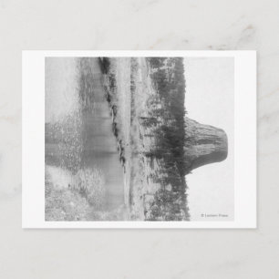 Distant View of Devil's Tower with Water in the Postcard