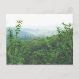 distant view smokies #70 postcard
