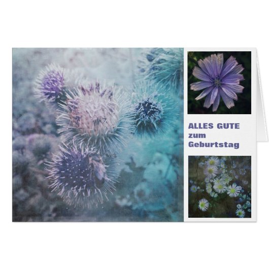 Distelblüten (Front Horizontal)