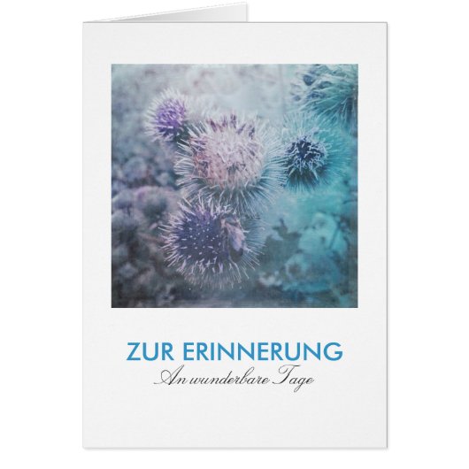 Distelblüten Cards (Front)