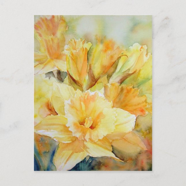 Distilled Sunlight Postcard (Front)