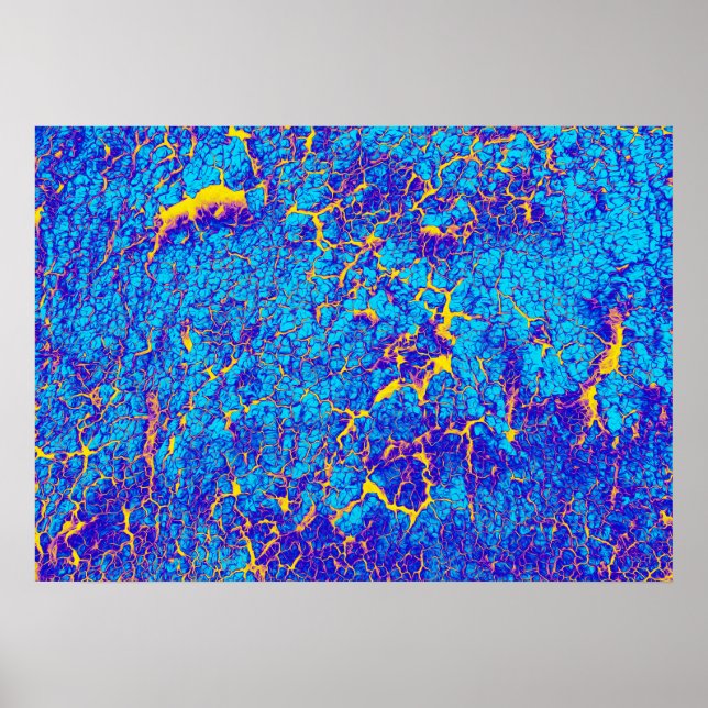 Distinctive Abstract Texture Poster (Front)