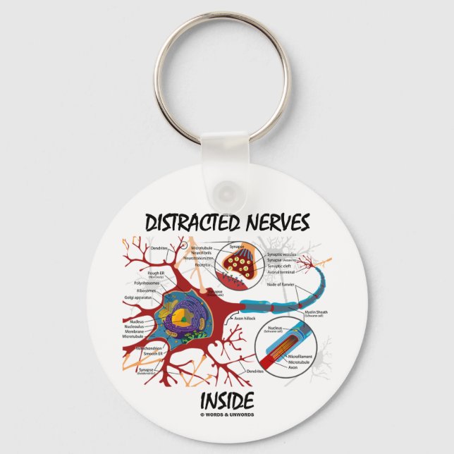 Distracted Nerves Inside (Synapse) Keychain (Front)