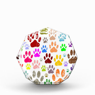 Distressed Colorful Dog Paw Prints Acrylic Award