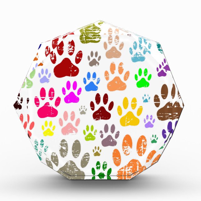 Distressed Colorful Dog Paw Prints Award (Front)