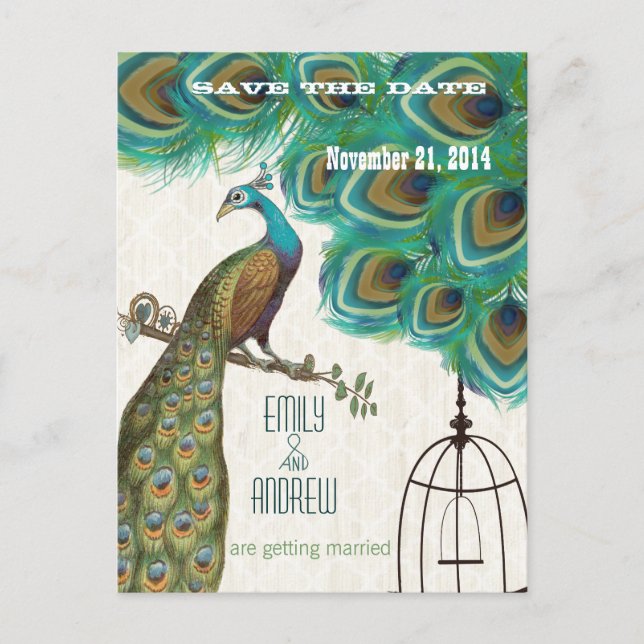 Distressed Floral Peacock Birdcage Save the Date Announcement Postcard (Front)