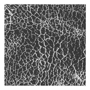 Distressed overlay texture of crocodile or snake s faux canvas print