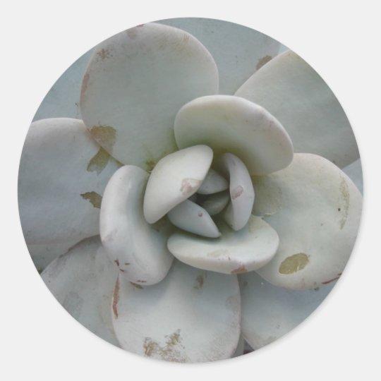 Distressed Round Stickers