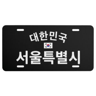 Distressed Seoul South Korea License Plate