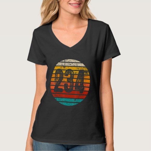 Distressed Vintage Sunset 234 Area Code T_Shirt