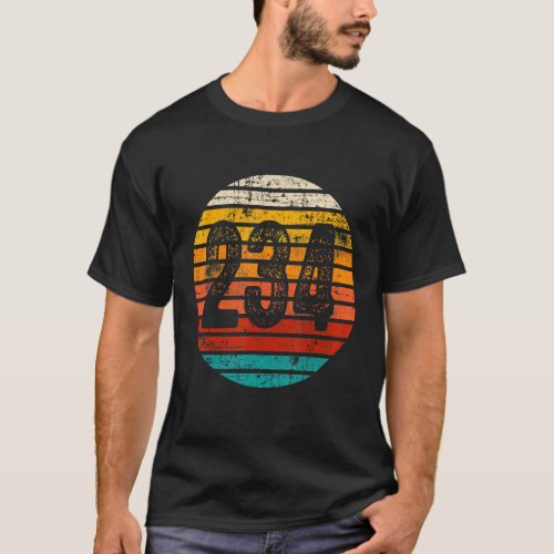 Distressed Vintage Sunset 234 Area Code T_Shirt