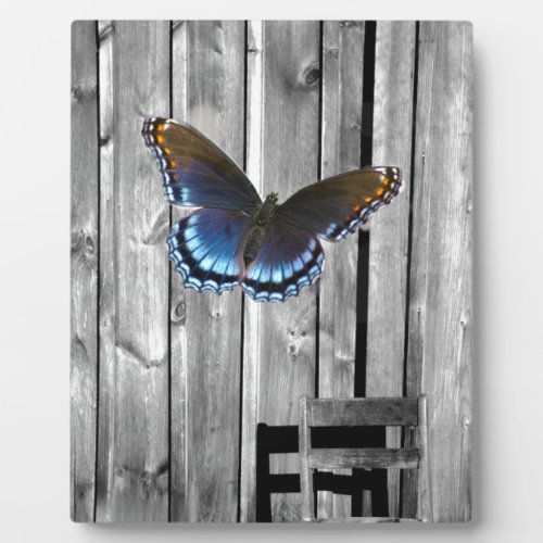 Distressed Weathered Wood farmhouse Blue butterfly Plaque