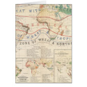 Distribution plants (Front)