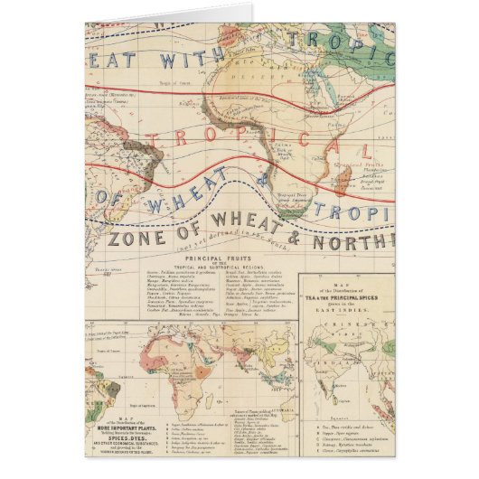 Distribution plants (Front)