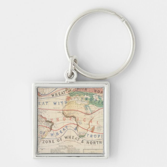 Distribution plants keychain (Front)