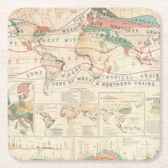 Distribution plants square paper coaster (Front)