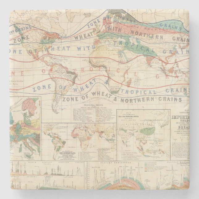 Distribution plants stone coaster (Front)