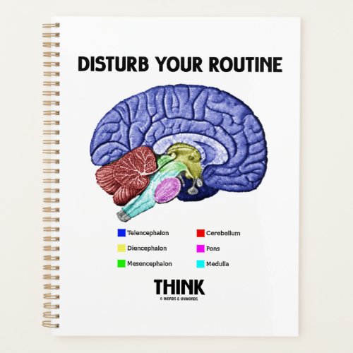 Disturb Your Routine Think Brain Anatomy Advice Planner