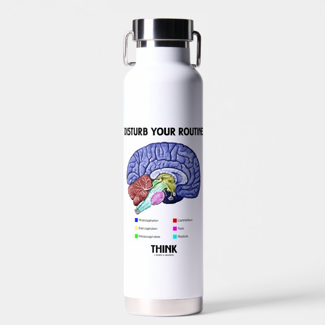 Disturb Your Routine Think Brain Anatomy Advice Water Bottle (Front)