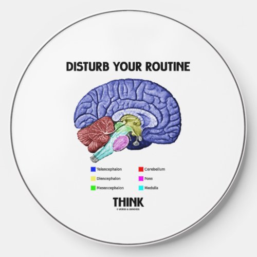 Disturb Your Routine Think Brain Anatomy Advice Wireless Charger