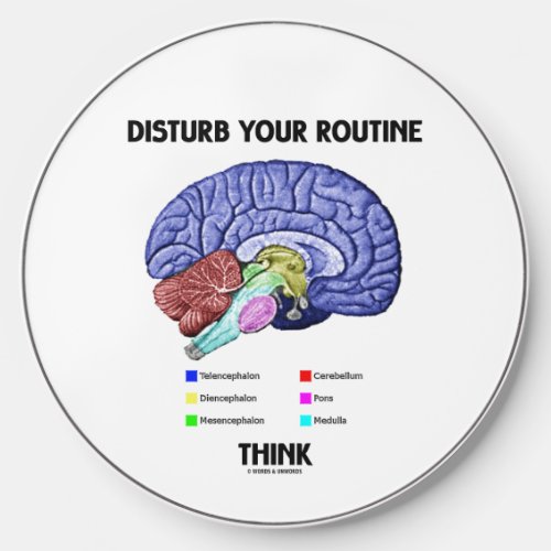 Disturb Your Routine Think Brain Anatomy Advice Wireless Charger