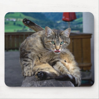 Disturbed While Cleaning Mouse Pad