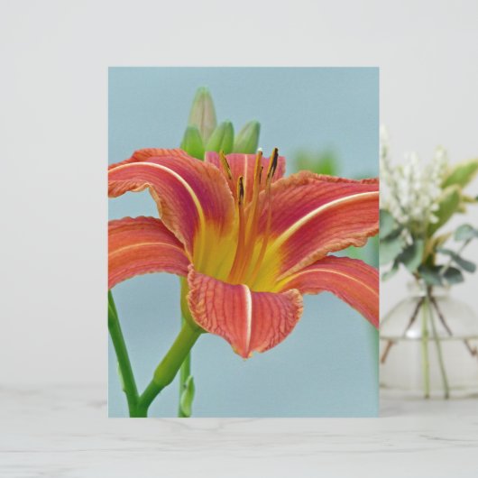 Ditch Lily (Standing Front)