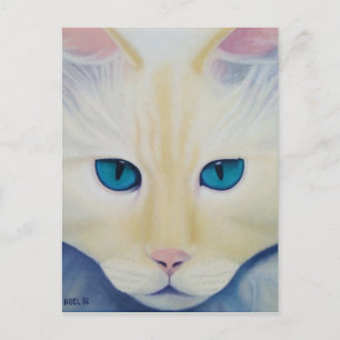 Ditto Postcard