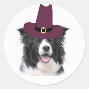 Ditzy Dogs~Border Collie Sticker~Thanksgiving Classic Round Sticker