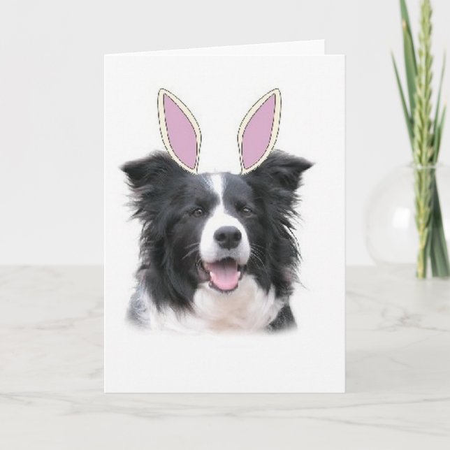 Ditzy Dogs~Original Notecard~Border Collie~Easter Holiday Card (Front)