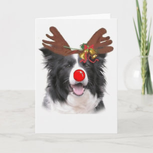 Ditzy Dogs~Original Notecard~Border Collie Holiday Card