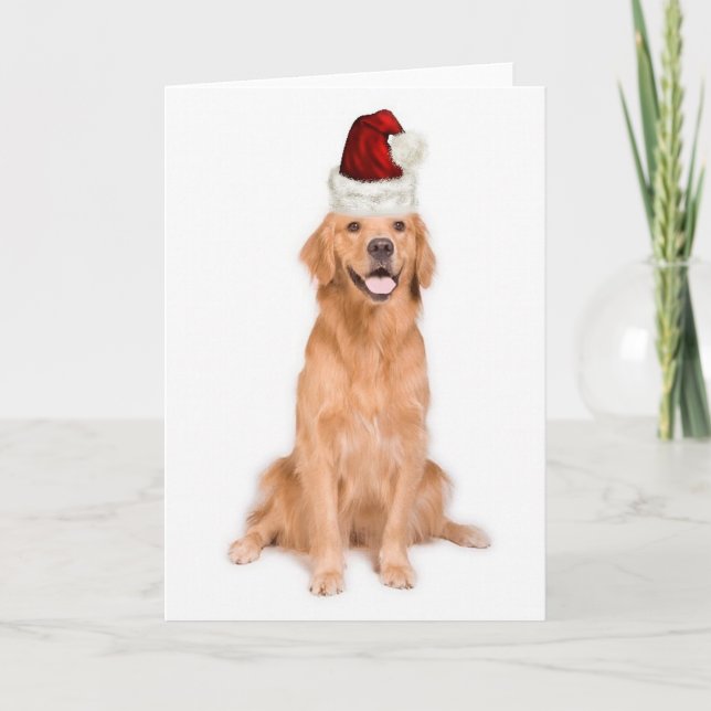 Ditzy Dogs~Original Notecard~Golden Retriever Holiday Card (Front)