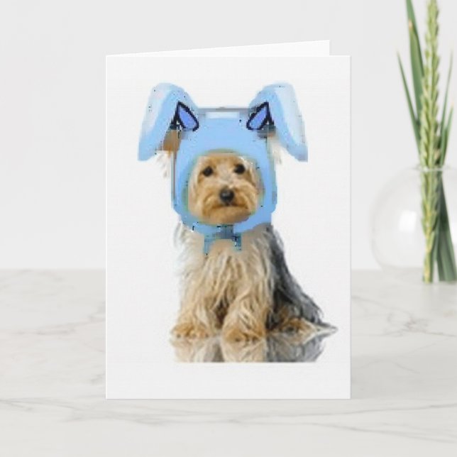 Ditzy Dogs~Original Notecard~Yorkie Holiday Card (Front)