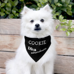 Diva Extraordinaire Funny Dog Black Personalized Pet Bandana Collar