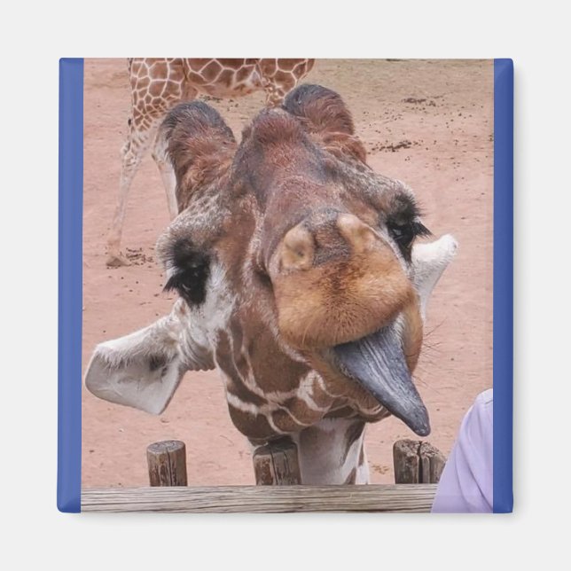 Diva Magnet #1 (Front)