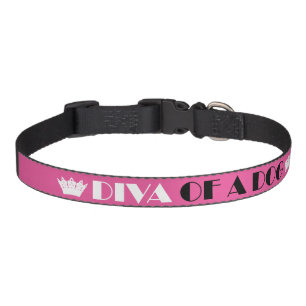 "DIVA of a Dog" Pet Collar