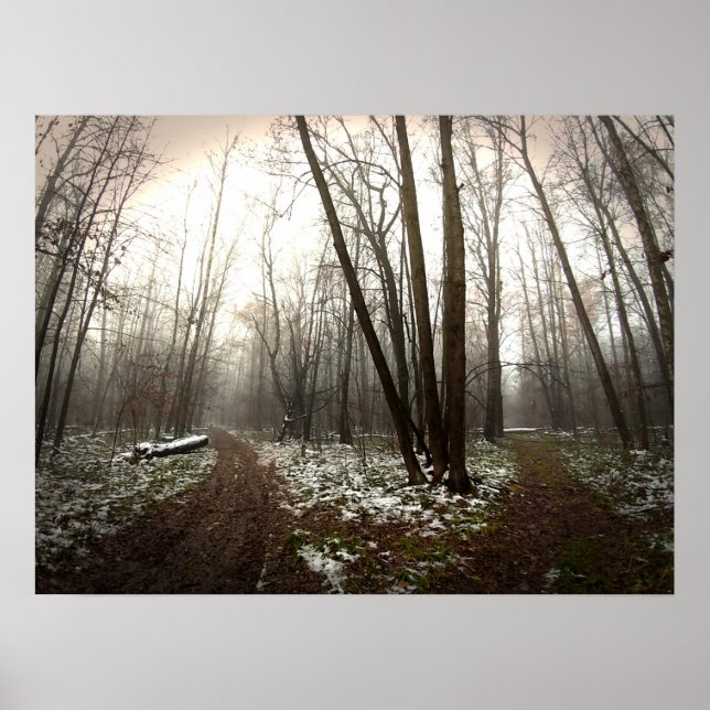 divarication poster (Front)