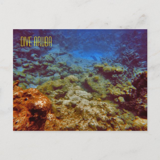 Dive Aruba Postcards (Front)