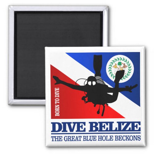 Dive Belize DF2 Magnet