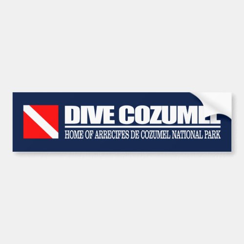 Dive Cozumel DF2 Bumper Sticker