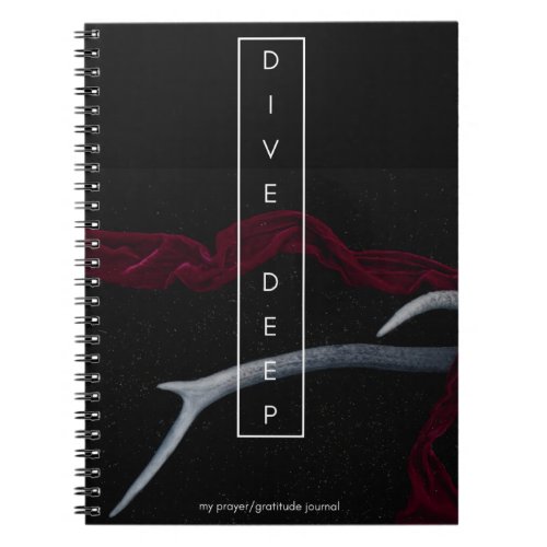 Dive Deep Prayer and Gratitude Journal